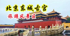 岛国AV在线洞洞中国北京-东城古宫旅游风景区